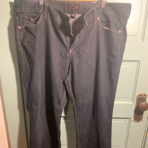 Torrid Jeans size 24